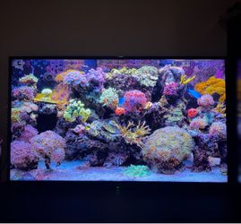 60 inch Sony TV with remote