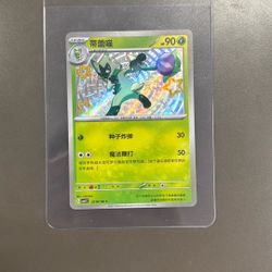 2025 Near Mint Pokemon Shiny Floragato