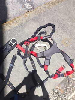 Safety Harness