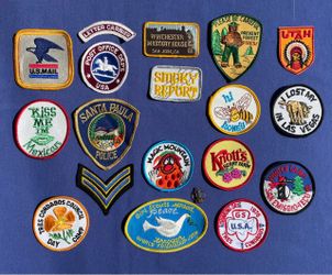 Random Vintage Patch Lots Humor~U.S.Postal~Forrest~State~GSA~Ca Amusement Parks