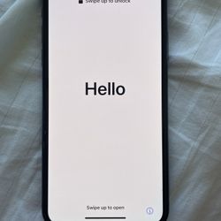 iPhone X