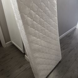 Newton Mattress