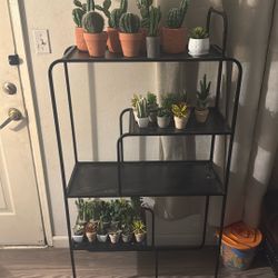 Stand With Mink Fake Succulents 