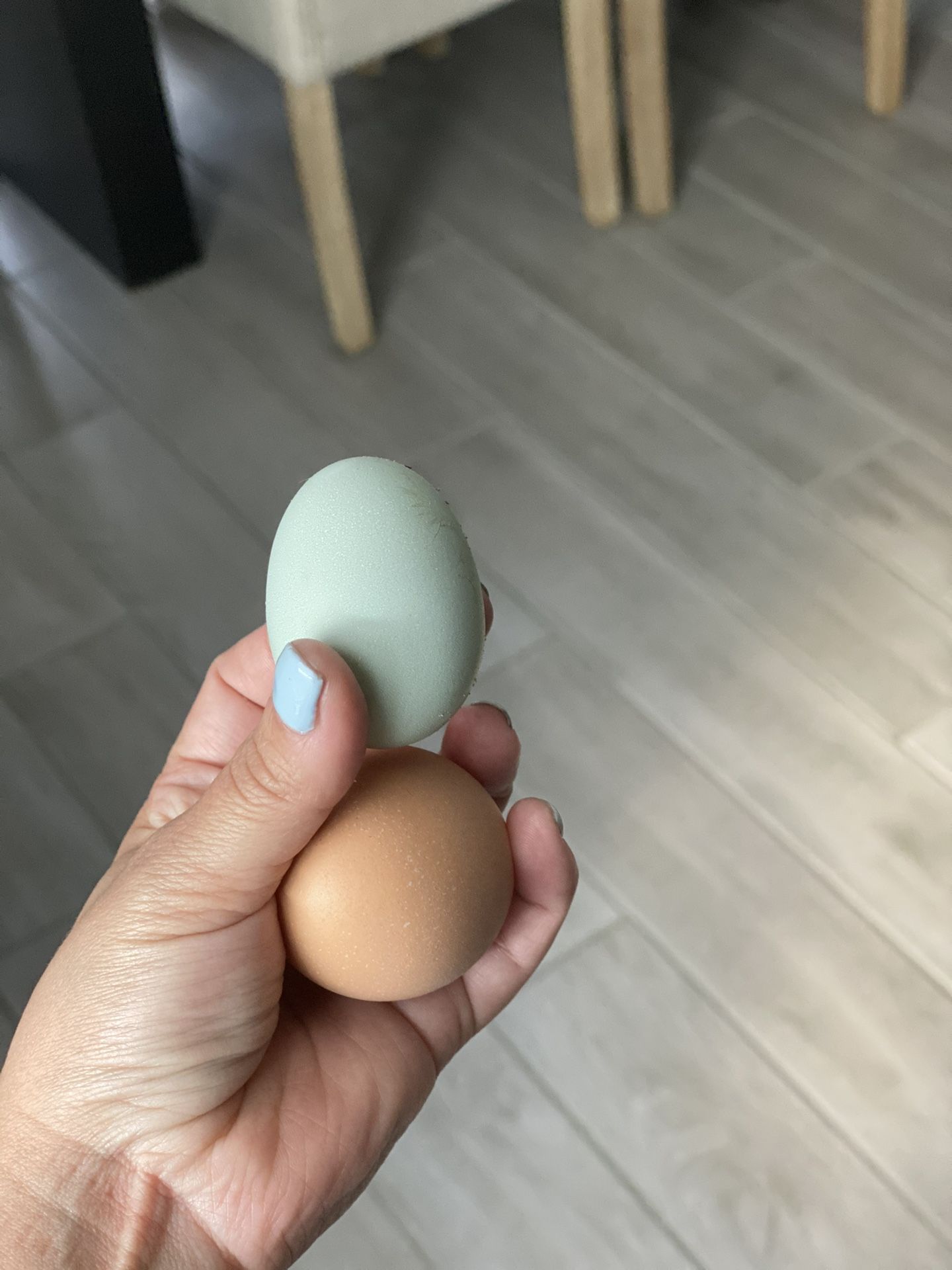 Eggs
