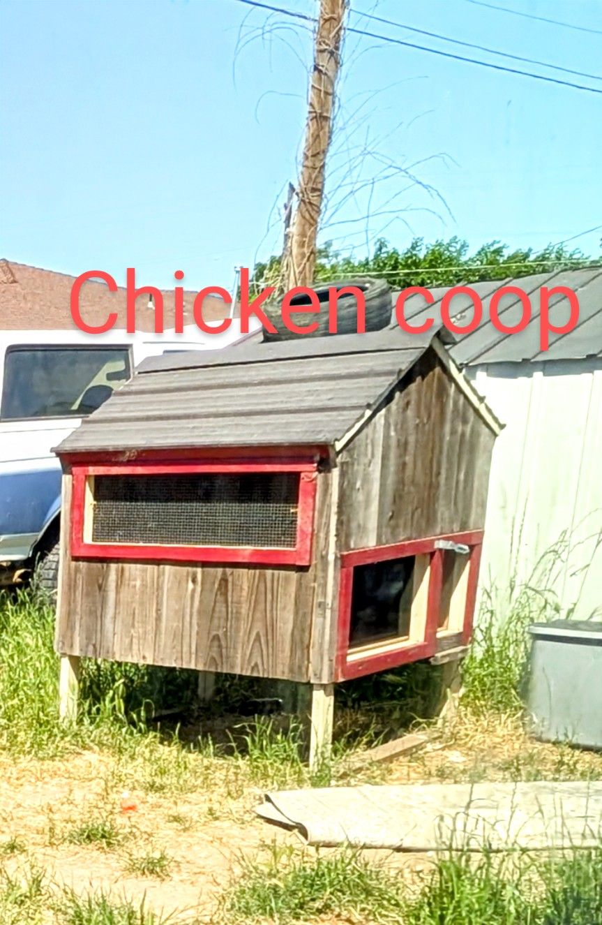 Chicken Coupe/ Hutch