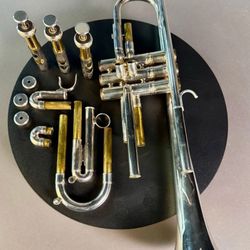 Flip Oakes Wild Thing Trumpet 