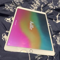 iPad Pro 10.5 Inch