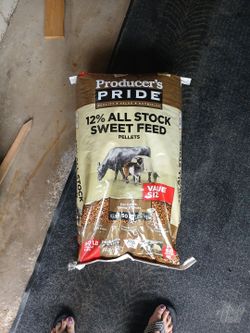 Chicken and Animal feed