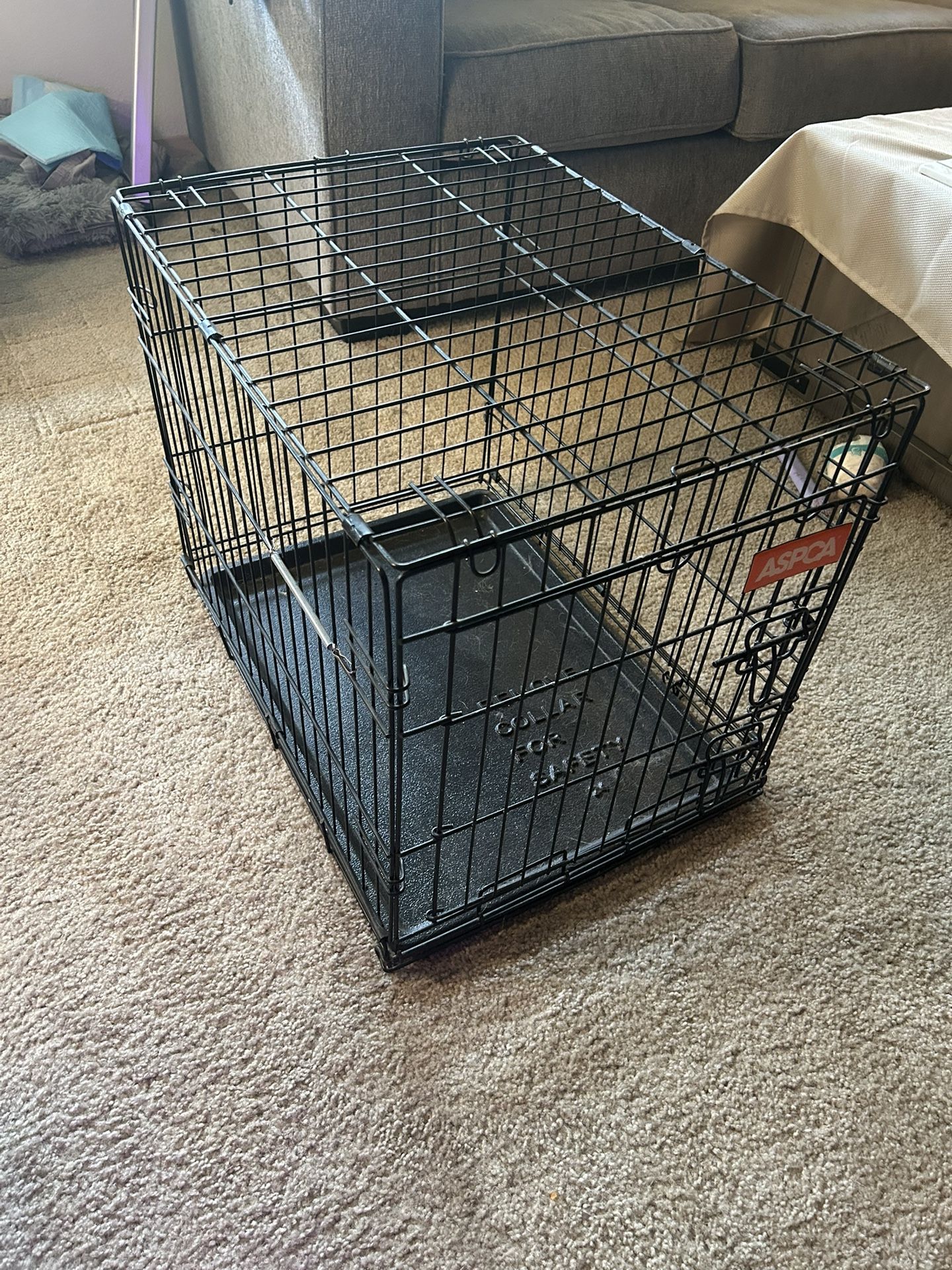Small Dog Crate