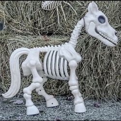 Red Shed Horse Skeleton Halloween Decoration Tractor Supply Tik Tok