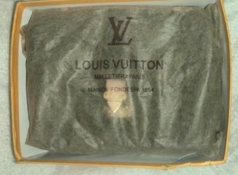 Loui Vutton Crossover Bag 