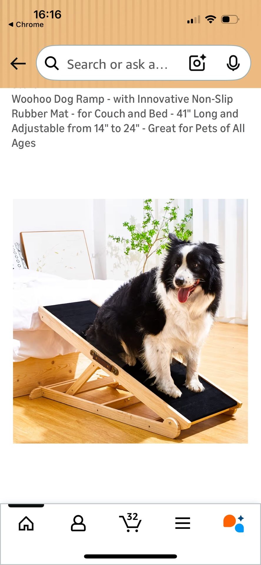 Dog Ramp