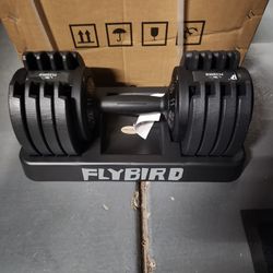 Flybird Adjustable Dumbbell Review 