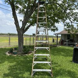 Werner 12’ Fiberglass Step Ladder