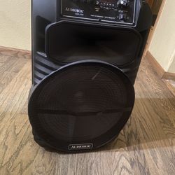 Audio box/speaker