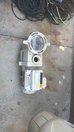 Pool / spa pump