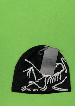 Arcteryx Beanie (best Hats for The Winter)