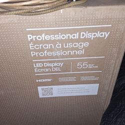 55 Inch Professional Television Display 