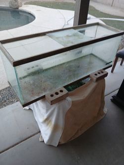 55 Gallon Fish Tank
