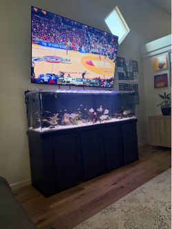 125 gallon acrylic tank and stand