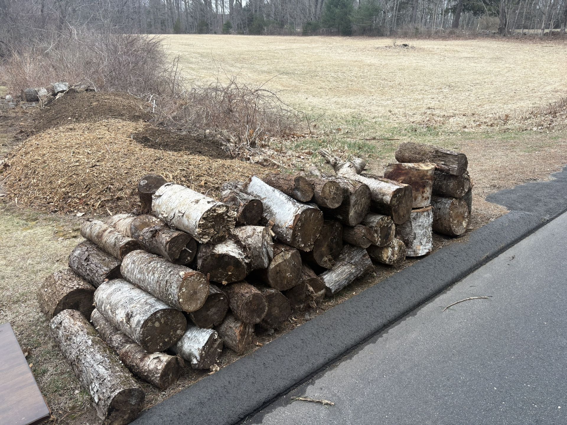 FREE WOOD