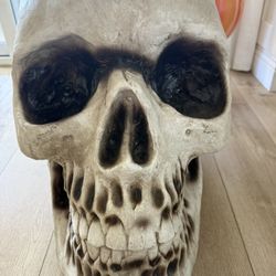 Extra large skeleton head