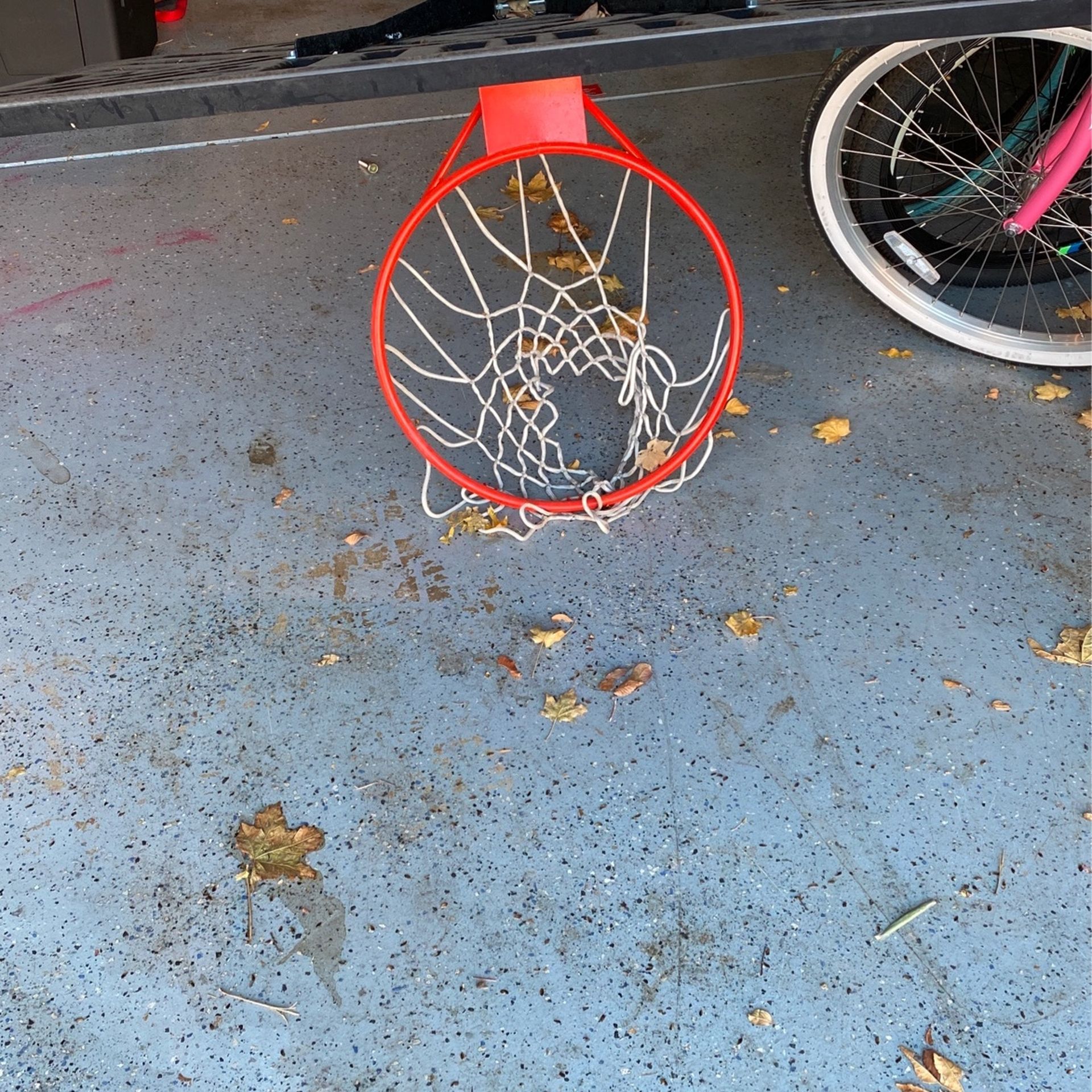 Lifetime Basketball Hoop