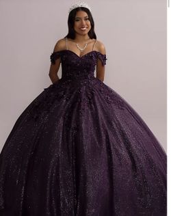 Dark Purple Quinceañera Dress W/flora