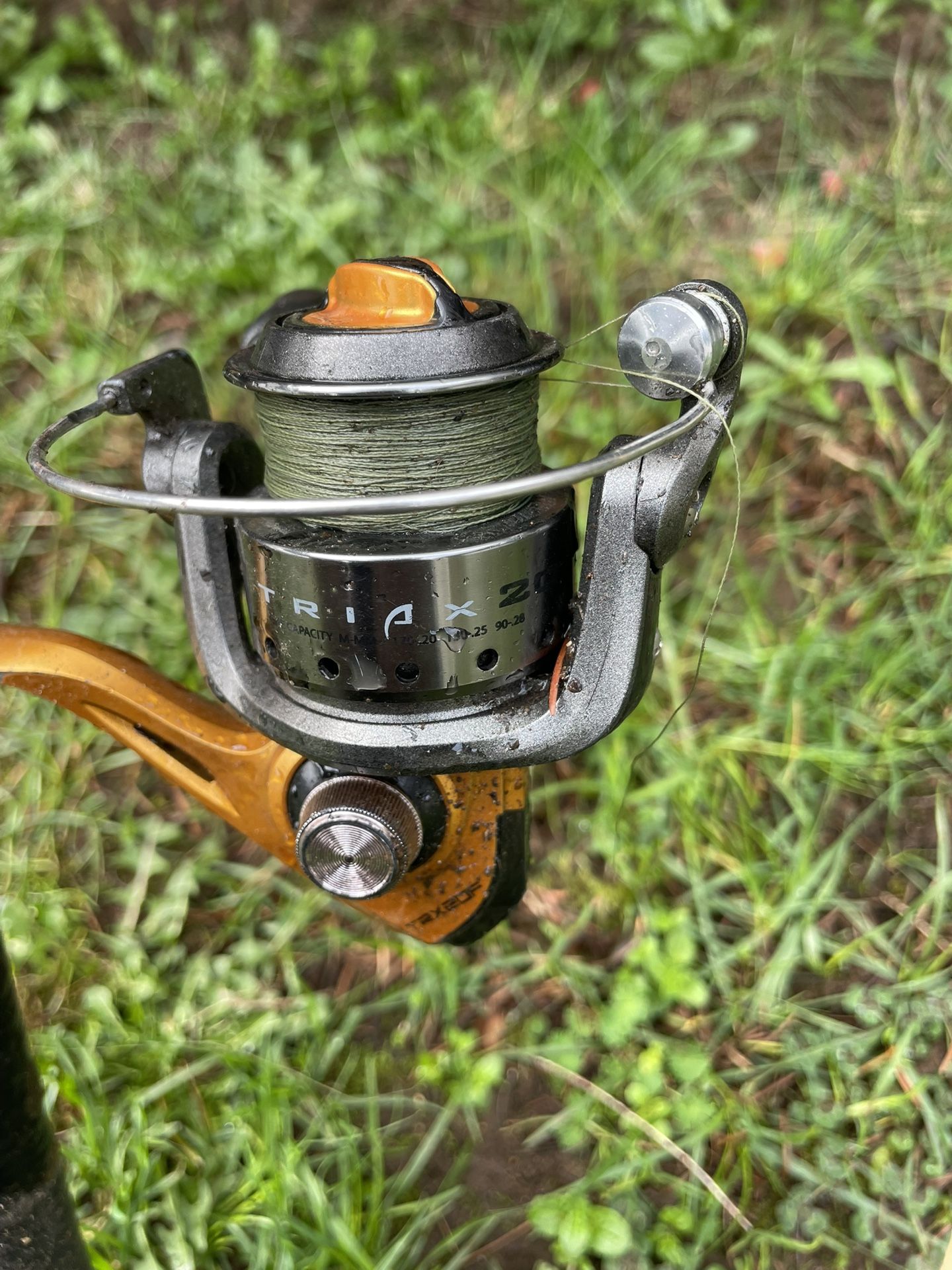 Fishing Rod