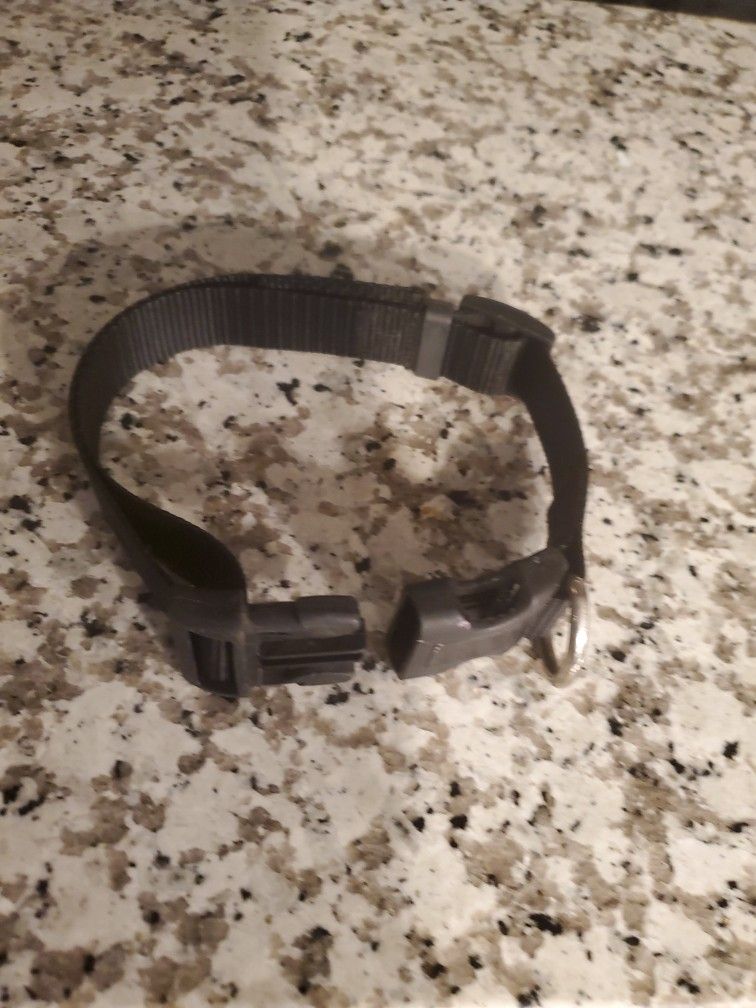 Dog Collar Nylon