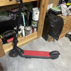 Segway Scooter   