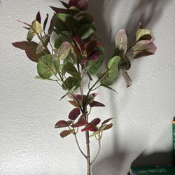 Fake Plant 🪴     Cash Only Thanks 