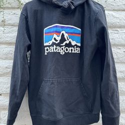 Patagonia Medium Hoodie