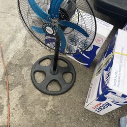 Fan