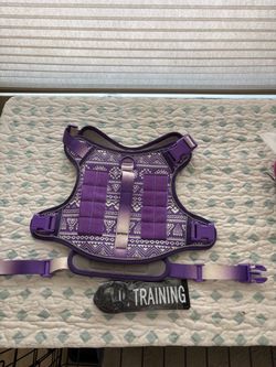 Xl dog harness