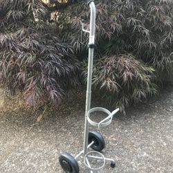 Oxygen bottle cart