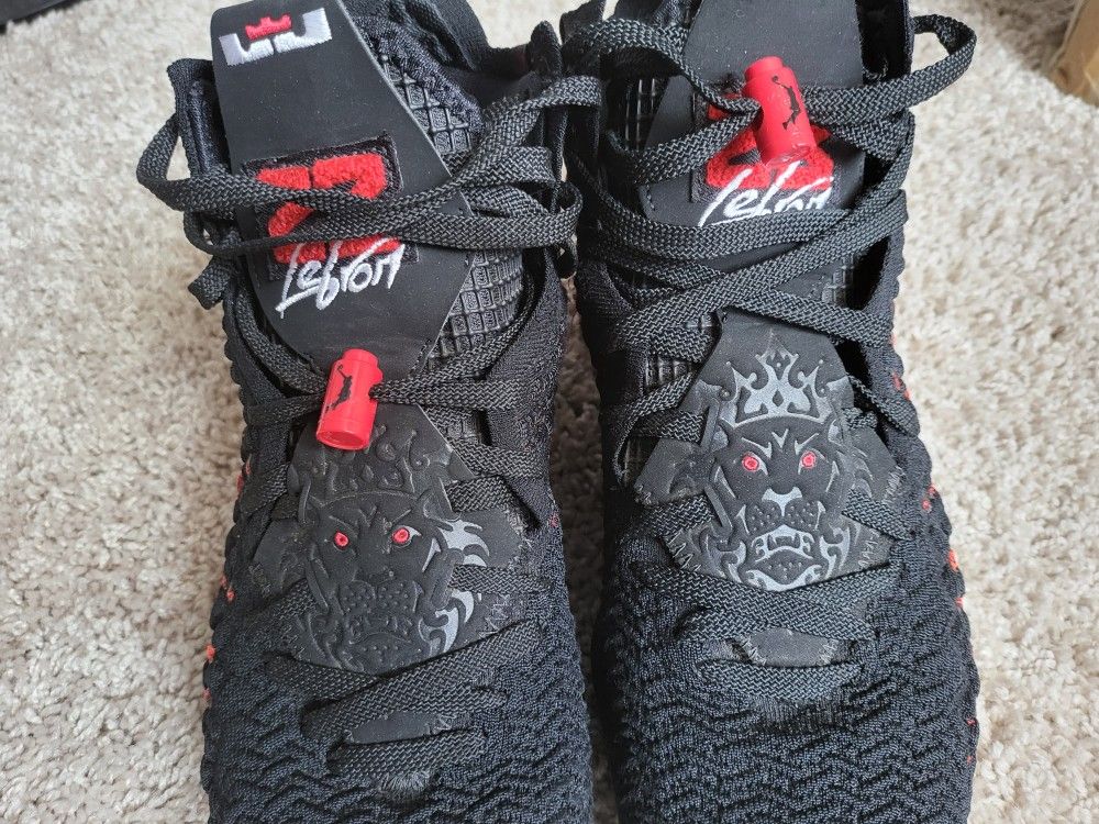 Lebron 17 Bred Size 10 Men, Hardly Worn