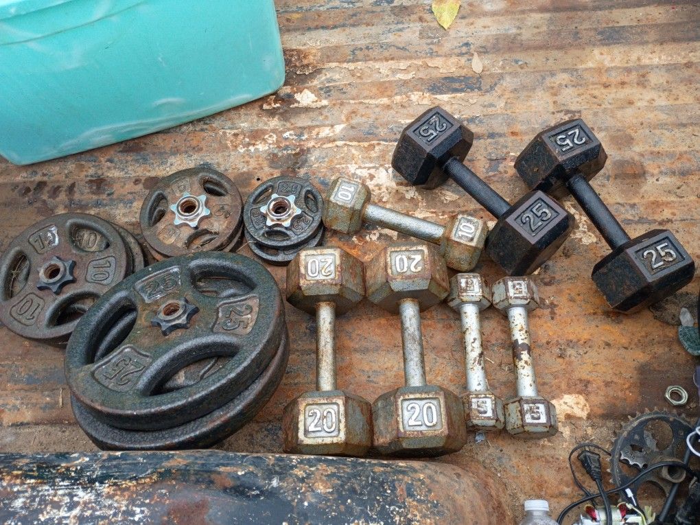 Iron Weights 25 Lb 5 Lb 20 Lb 10 Lb Dumbbell Set Also 25 Lb 10 Lb 5 Lb 2.5 Lb Plates