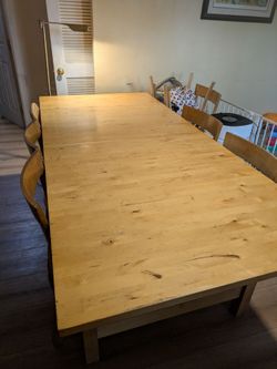 Norden table, no extension, 7 chairs