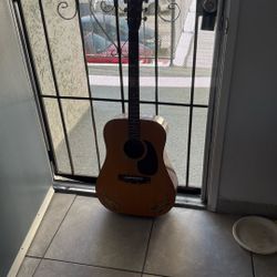 Guitar