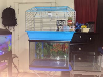 guinea pig/bird Cage And 2 Fish Tanks