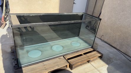 230 gal aquarium