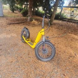 Commuting Adult Electric Scooter. 