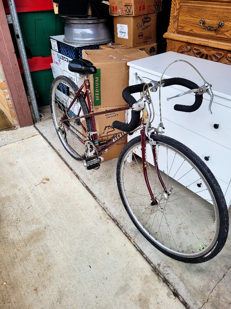 Rare Raleigh Olympian 555SL 80's Bicycle
