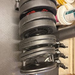 Rogue + Ethos Bumper Set With Stand (280lb)