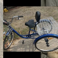 Adult Tricycle 