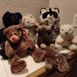 Stuffed Animals & Hand Puppet 