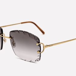 Cartier Sunglasses 