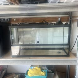 Reptile Cage/ 20 Gallon