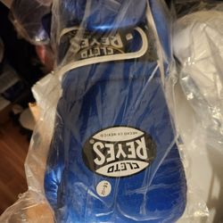 16 Oz REYES BOXING GLOVES with Free Handwraps 